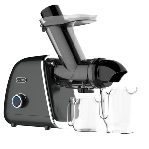 juicer fruit chinese